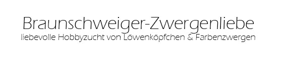 Hobbyzucht aus Braunschweig - Löwenkopfkaninchen, Farbenzwerge, Zwergkaninchen