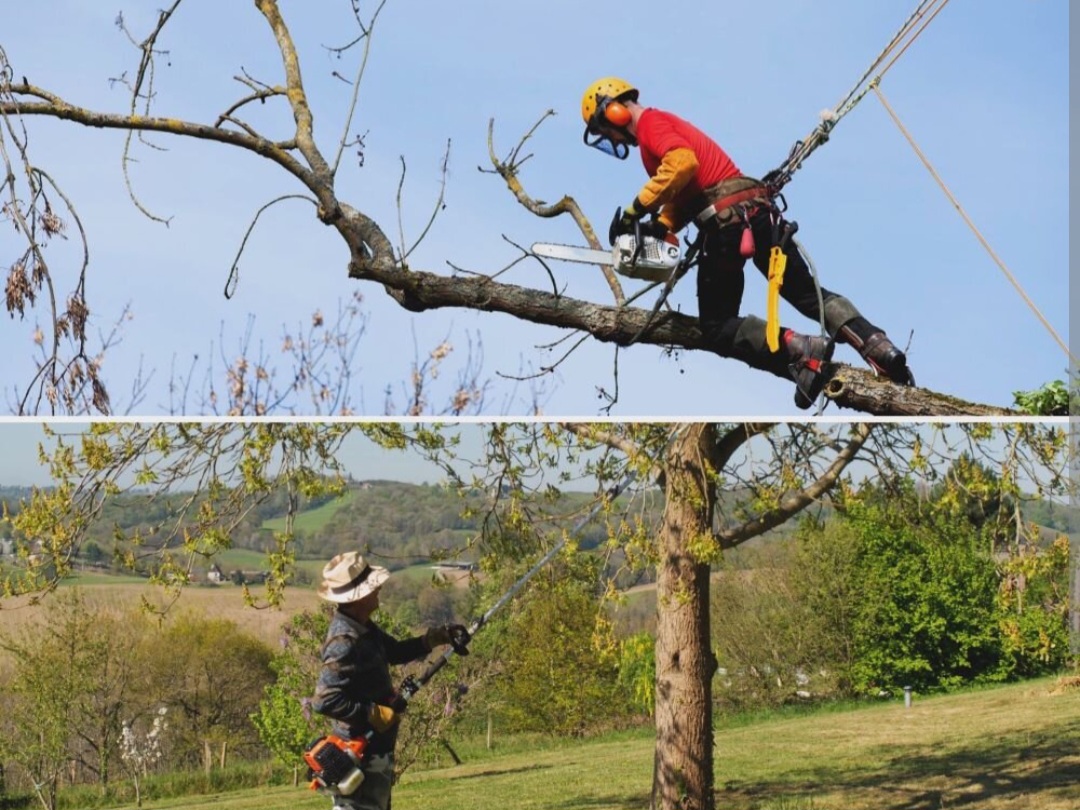 LocalTreeTrimmer.com