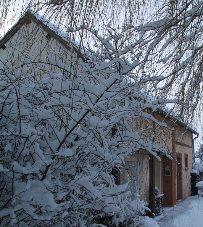 charming winter with some snow