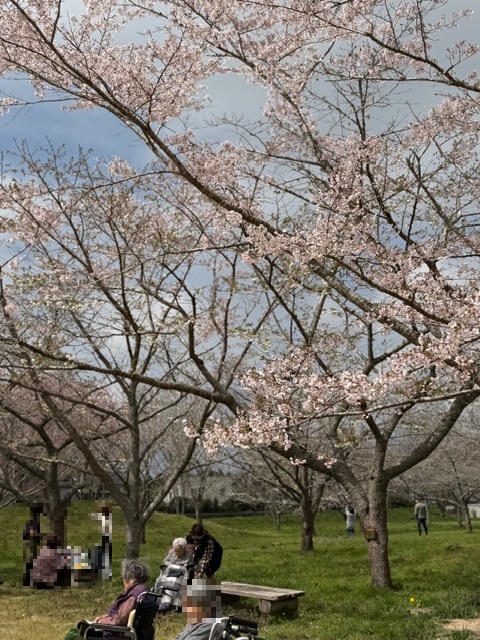 桜の花見外出～かりんの家～