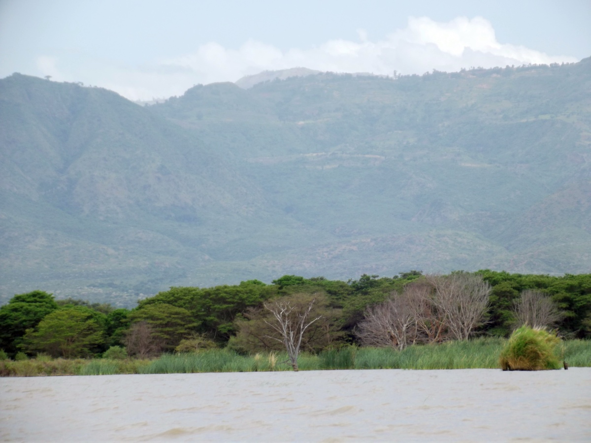 Le Lac Chamo en Ethiopie. Voyage Séjour Trek Trekking Randonnée Road Trip en Ethiopie Visite de la Vallée de l'Omo en Ethiopie. 