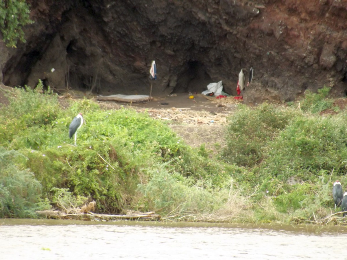 Envahit par nos déchets !!! La faune du Lac Chamo en Ethiopie. Voyage Séjour Trek Trekking Randonnée Road Trip en Ethiopie Visite de la Vallée de l'Omo en Ethiopie. 