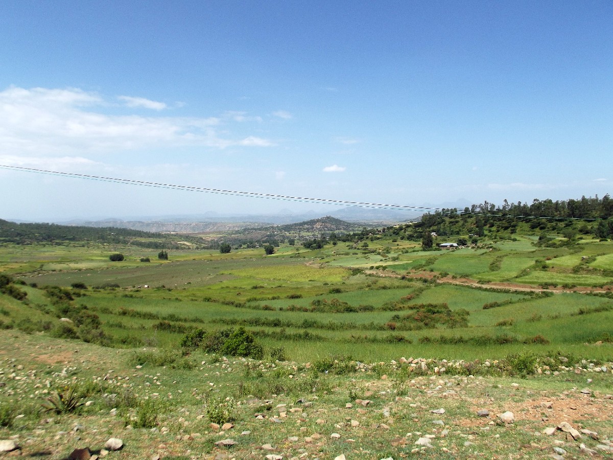 Axum, insolite. Voyage Séjour Trekking et randonnée, Road Trip en Ethiopie. Visite d'Axum en Ethiopie.