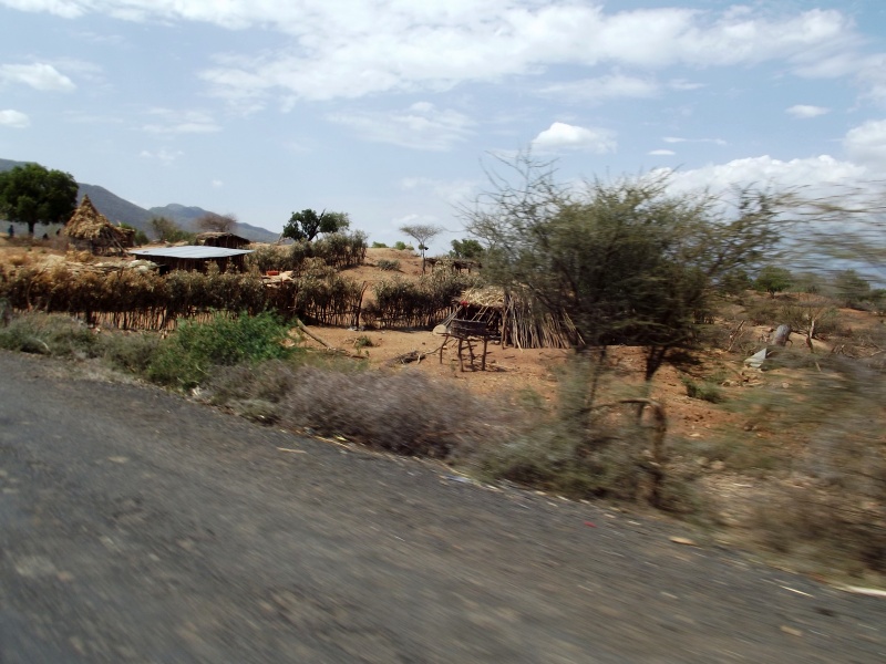 La Faune Les Dassanech, le village à Omorate en Ethiopie. Voyage Séjour Trek Trekking Randonnée Road Trip en Ethiopie Visite de la Vallée de l'Omo en Ethiopie. 