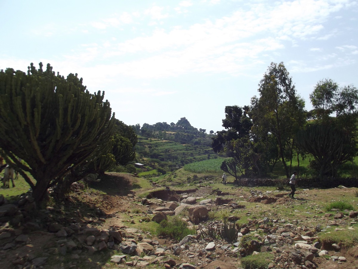 Trek, randonnée et visite d'Axum en Ethiopie. Autour d'Axum. La nature environnante. 