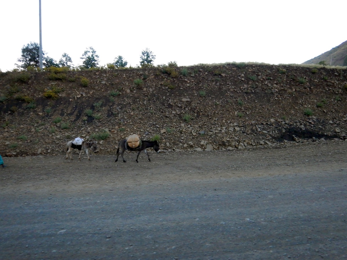 Séjour Voyage Road Trip Trek Trekking Randonnée en Ethiopie. Road trip de Lalibela à Werota en Ethiopie