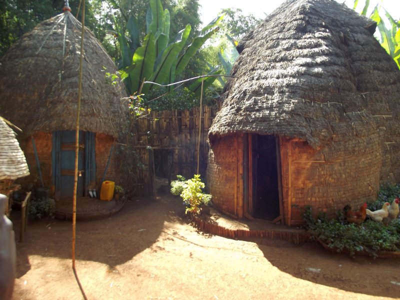 Voyage Séjour Trek Trekking Randonnée Road Trip en Ethiopie Visite de la Vallée de l'Omo en Ethiopie. La Ville de Dorze, Les Maisons Éléphants. 