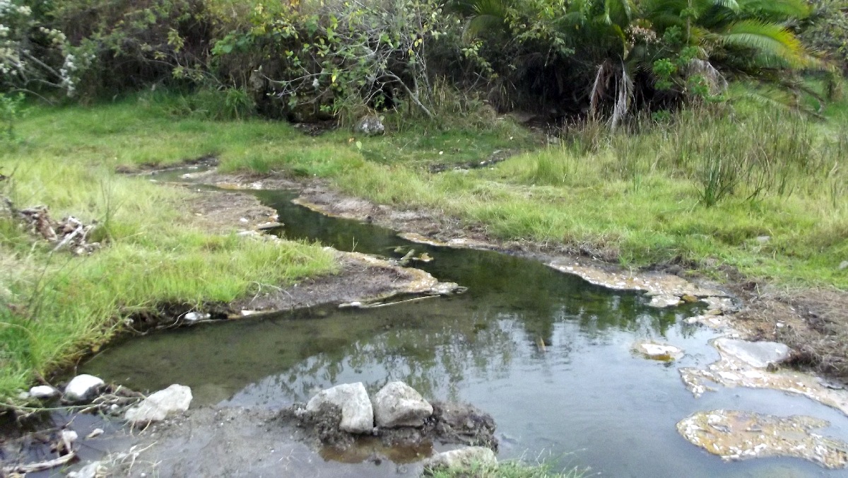 Les Locaux tapissent le lit de la rivière d'un melange de plantes médicinales puis s'allongent sur le dos, cela supprime pour un long moment leur mal de dos.