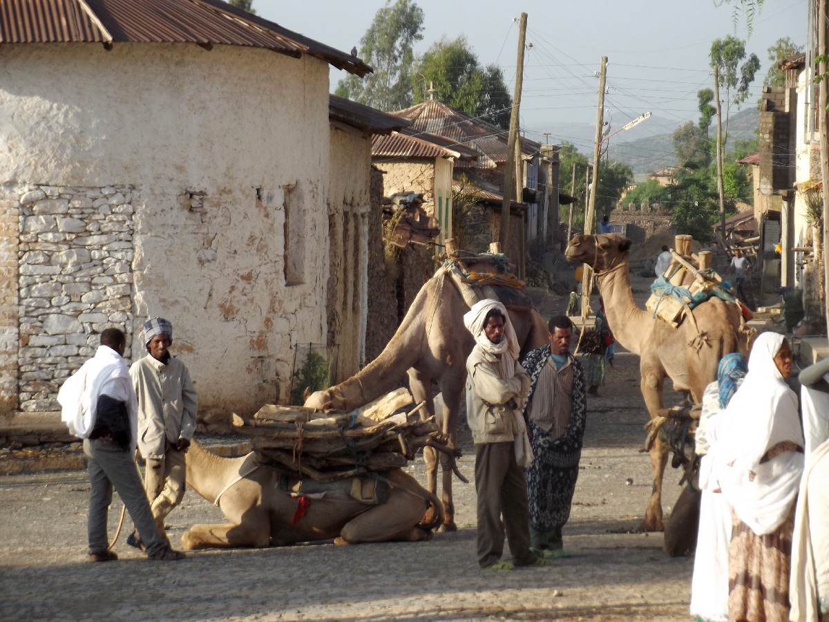 Axum, insolite. Trek, randonnée et visite d'Axum en Ethiopie.