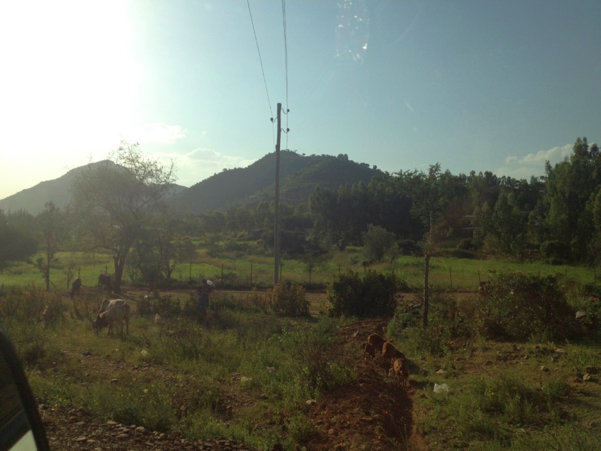 Voyage Séjour Trekking et randonnée, Road Trip en Ethiopie, le Tigré, Voyage d'Adigrat à Axum