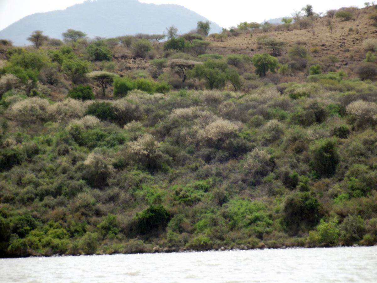 Le Lac Chamo en Ethiopie. Voyage Séjour Trek Trekking Randonnée Road Trip en Ethiopie Visite de la Vallée de l'Omo en Ethiopie. 