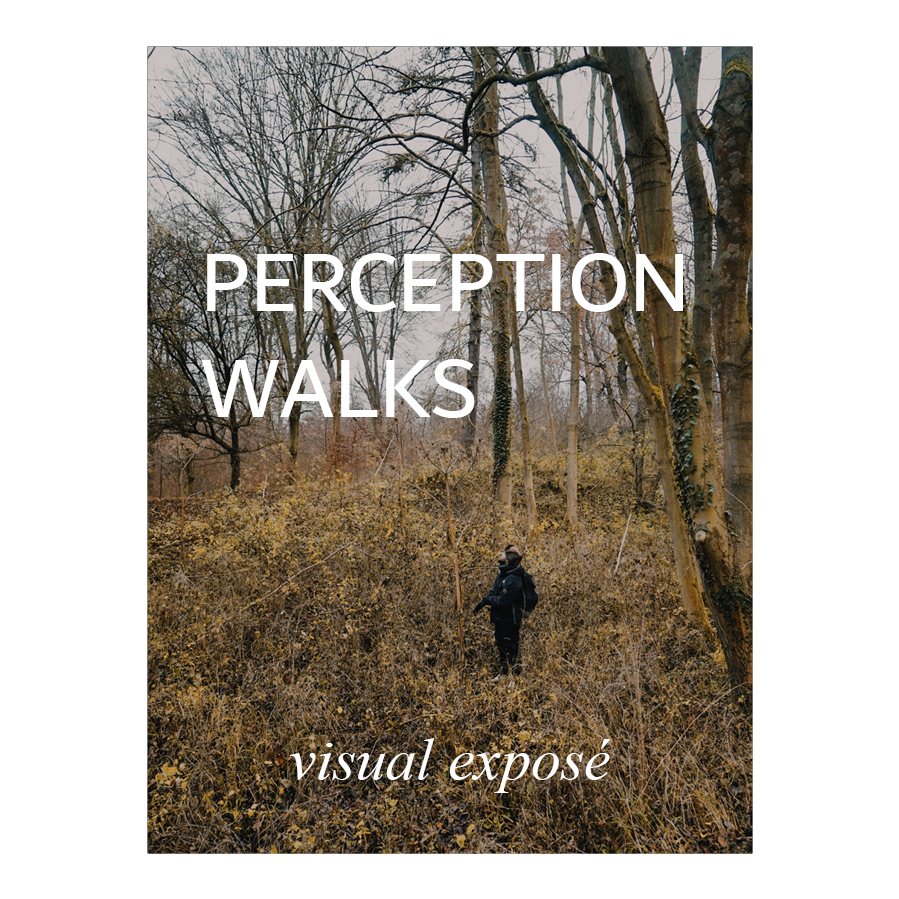 Visual Exposé: “Perception walks. An aesthetic research method for beyond-human-designers?”