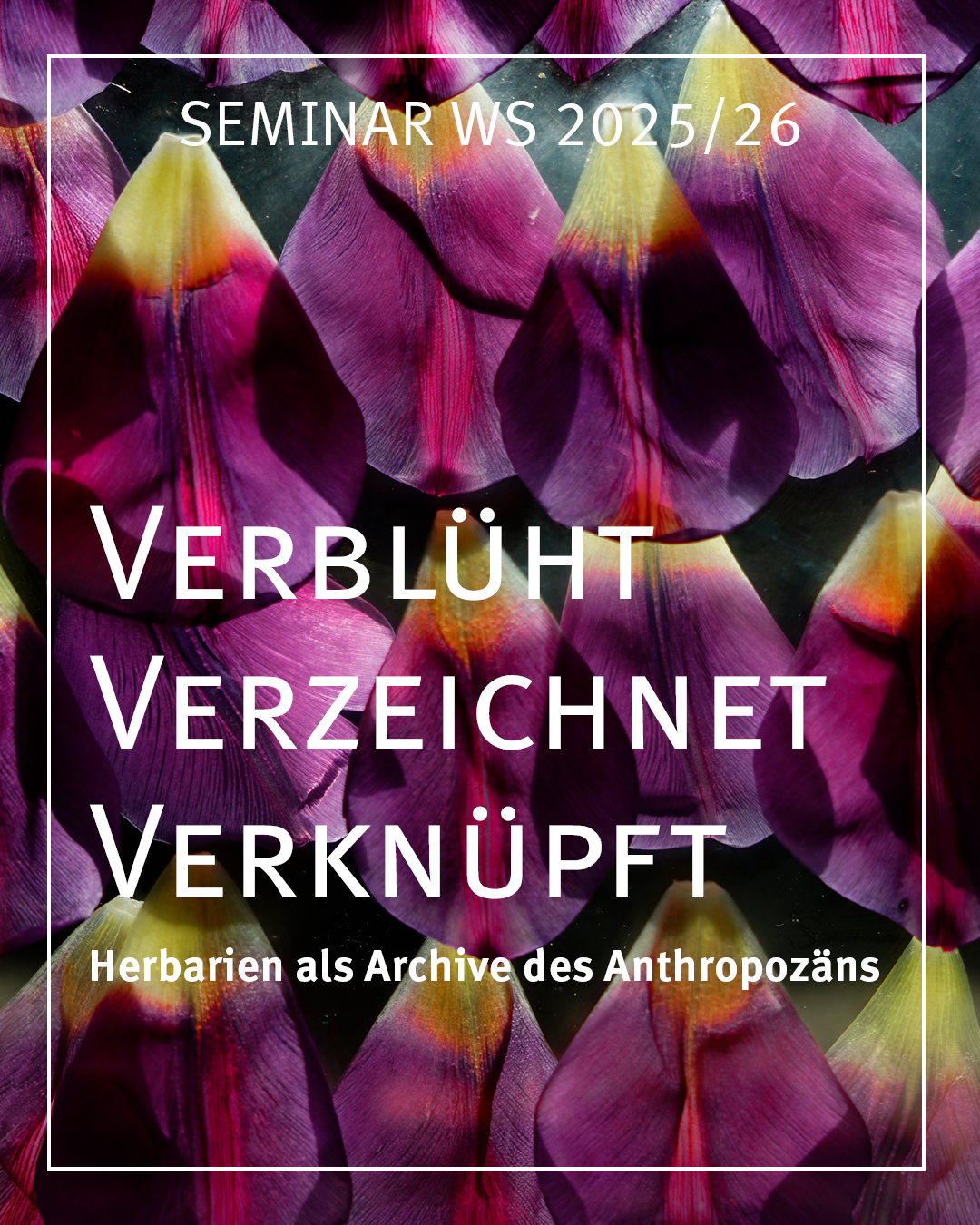 Lehrprojekt: Verblüht, Verzeichnet, Verknüpft: Herbarien als Archive des Anthropozäns
