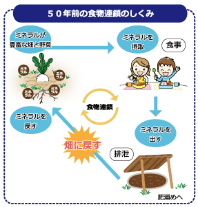 昔は食べたミネラルを人間は排泄し、それを土に戻していたので土にもミネラルがたっぷりでミネラルたっぷりの土で育った野菜もミネラルたっぷり！！