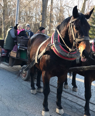 Kutschfahrt durch Bad Flinsberg