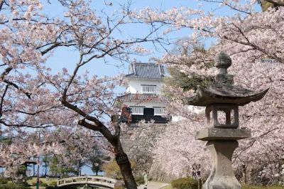 諫早・大村で楽しむ春の花見スポット特集🌸地元民おすすめ！