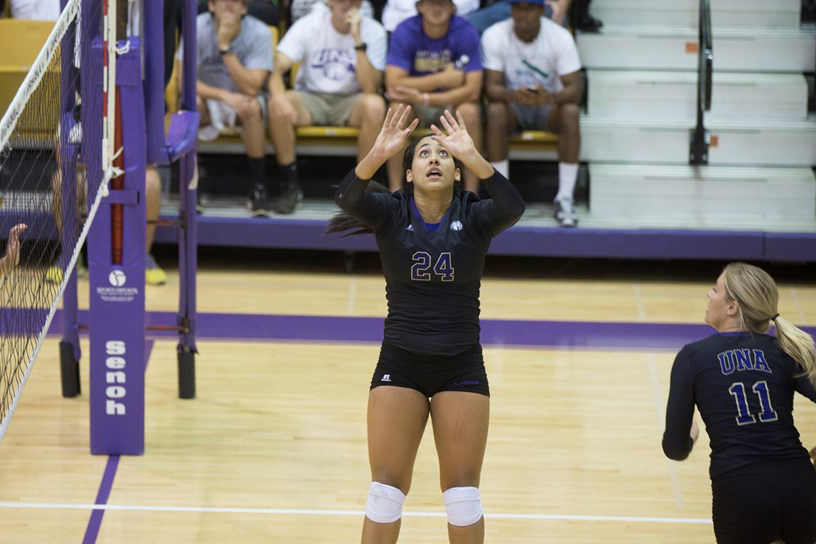 CRIOLLAS DE CAGUAS FIRMAN NUEVA Sitio Oficial de las