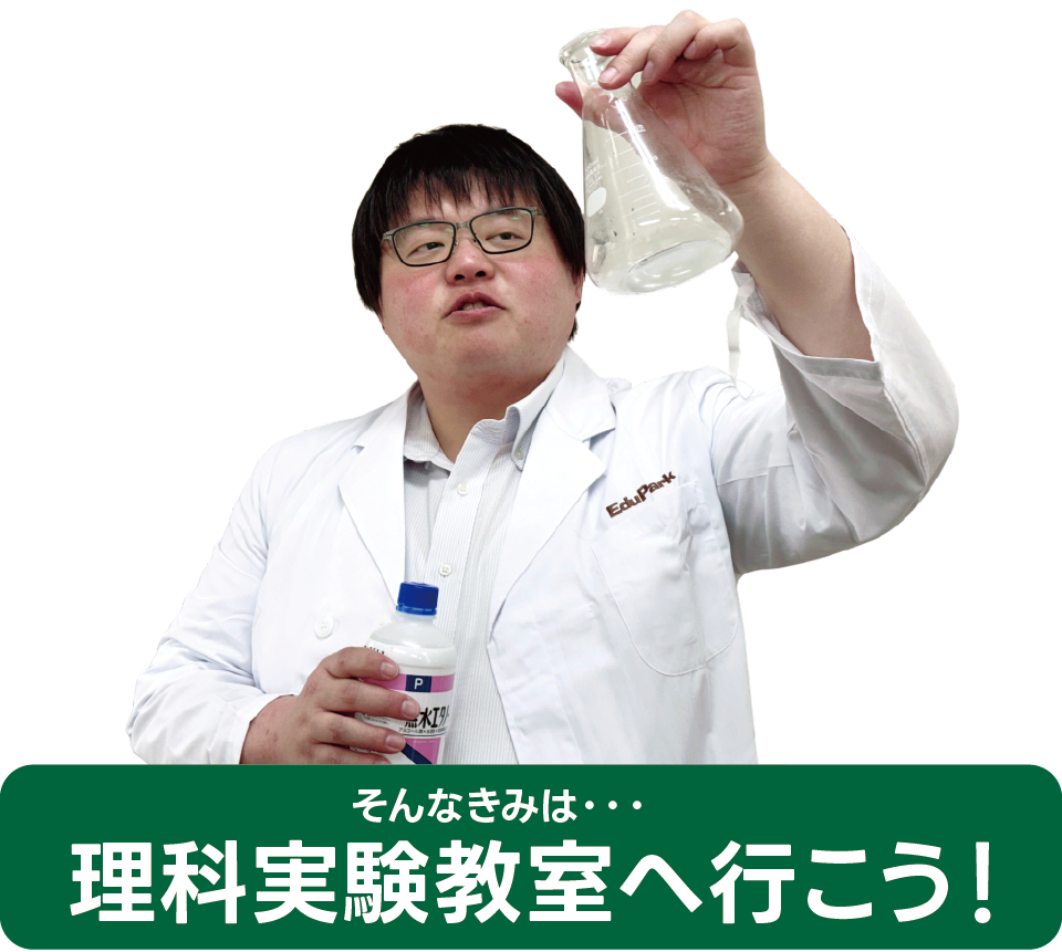 追加の画像