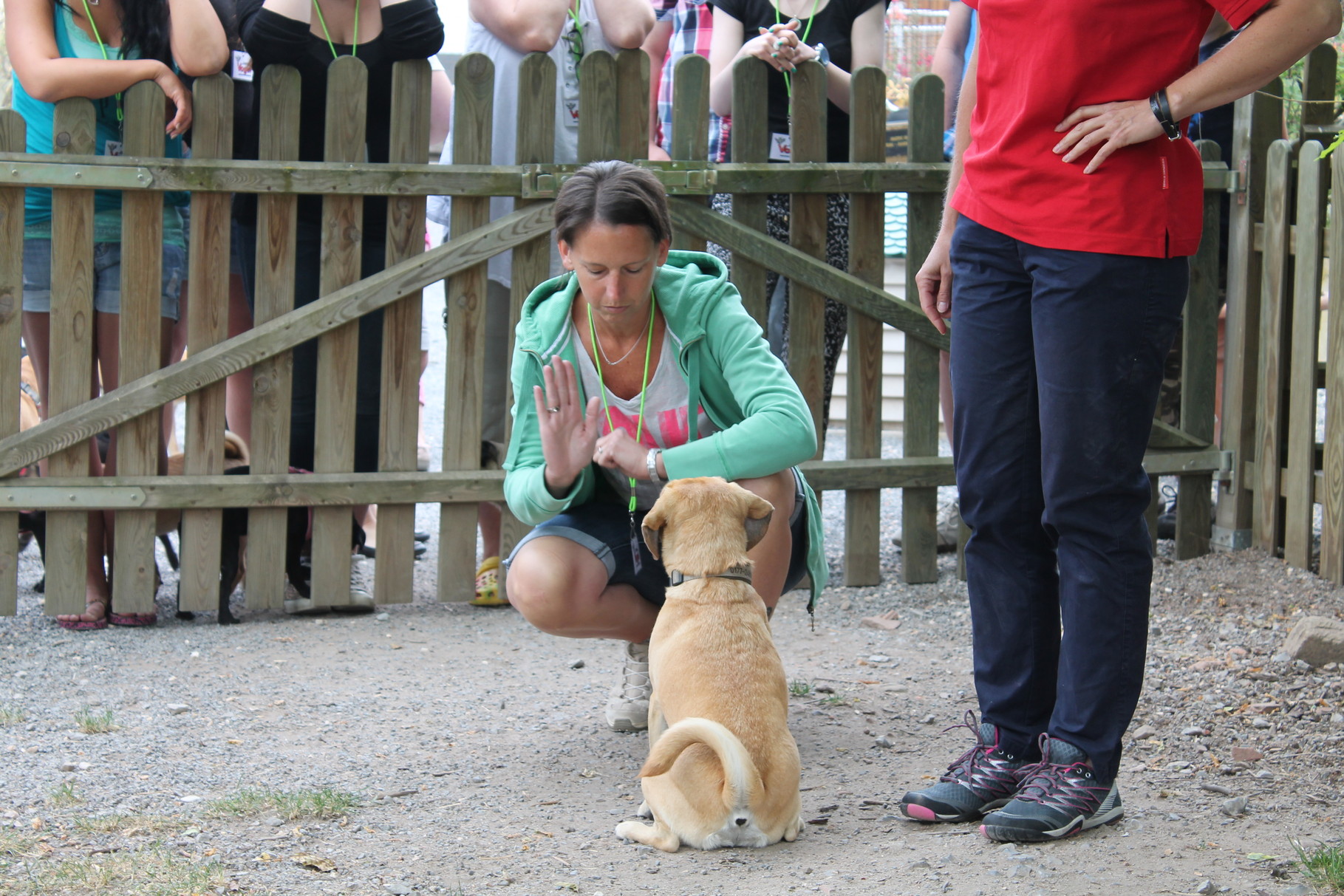 Emma und Frauchen Karina ein super Team