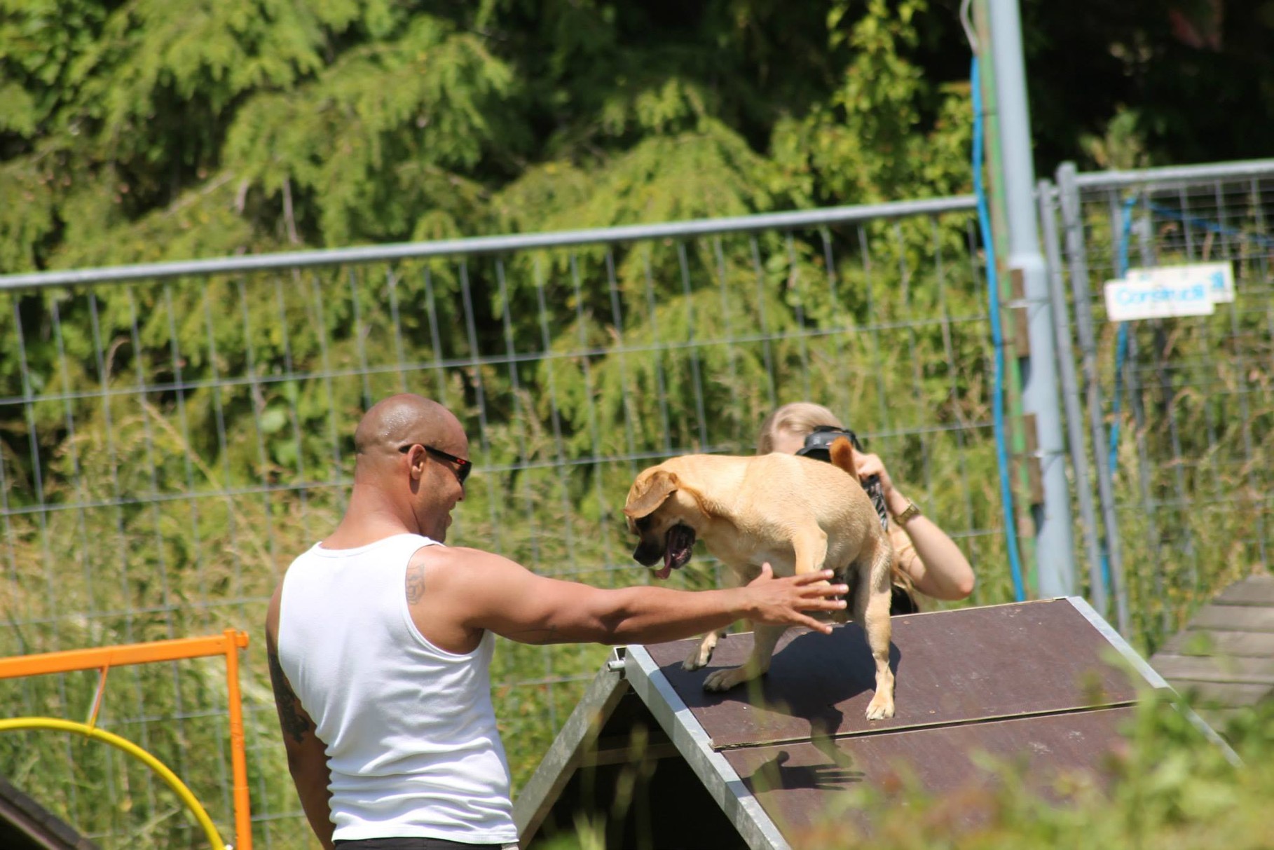 Jax ist ein sehr sportlicher Puggle 