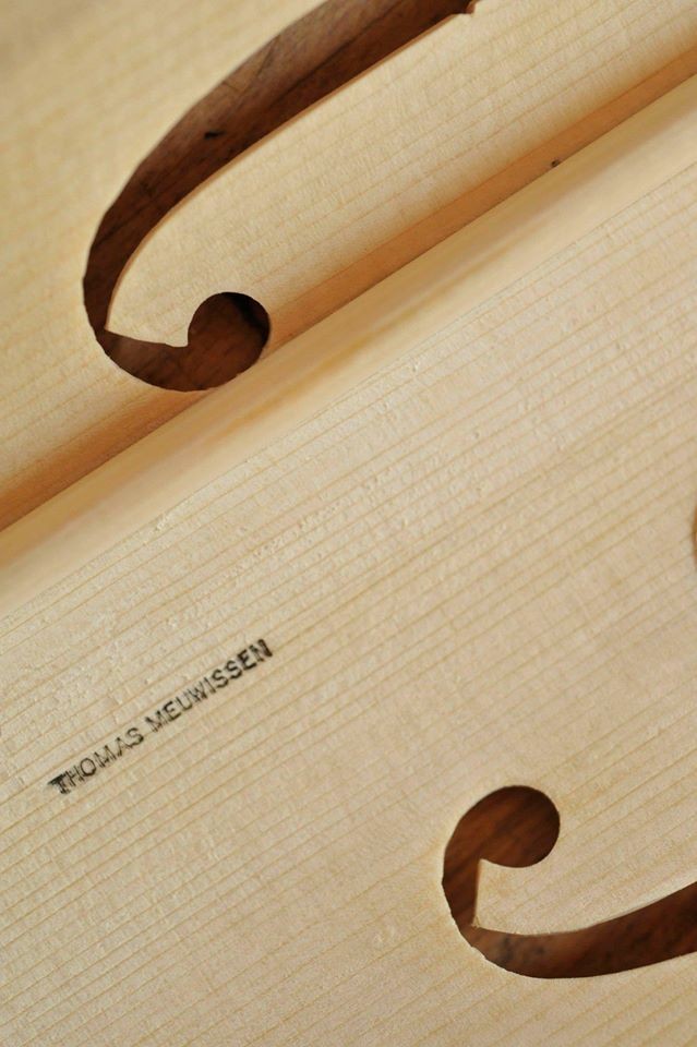 Detail Meuwissen Violin © Rudi Van Beek, 2009