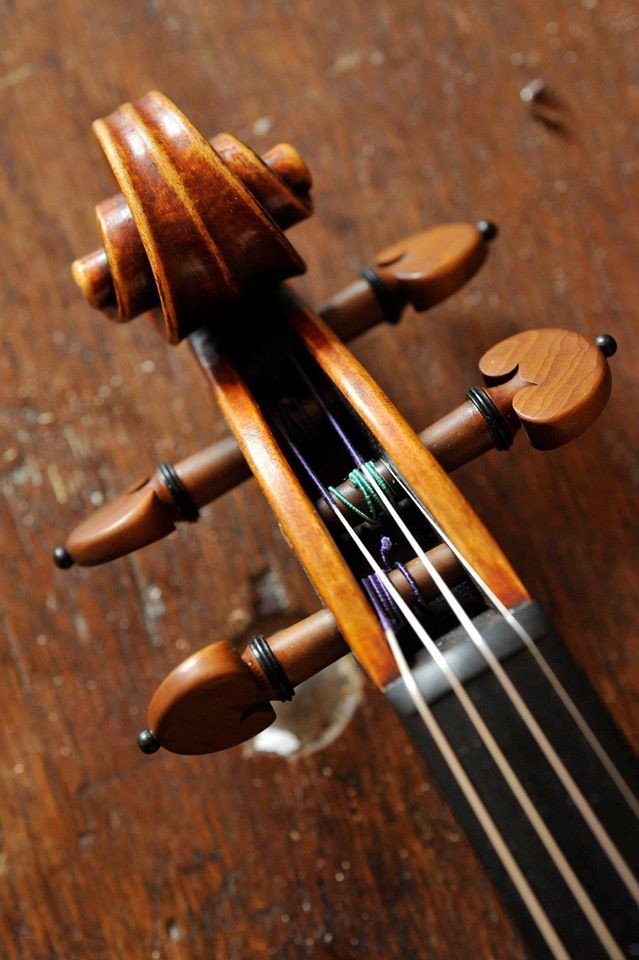 Meuwissen Violin © Rudi Van Beek, 2009