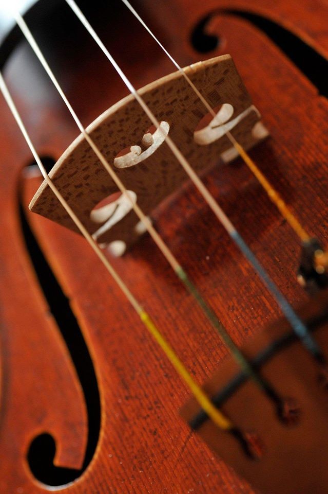 Detail Meuwissen Violin © Rudi Van Beek, 2009
