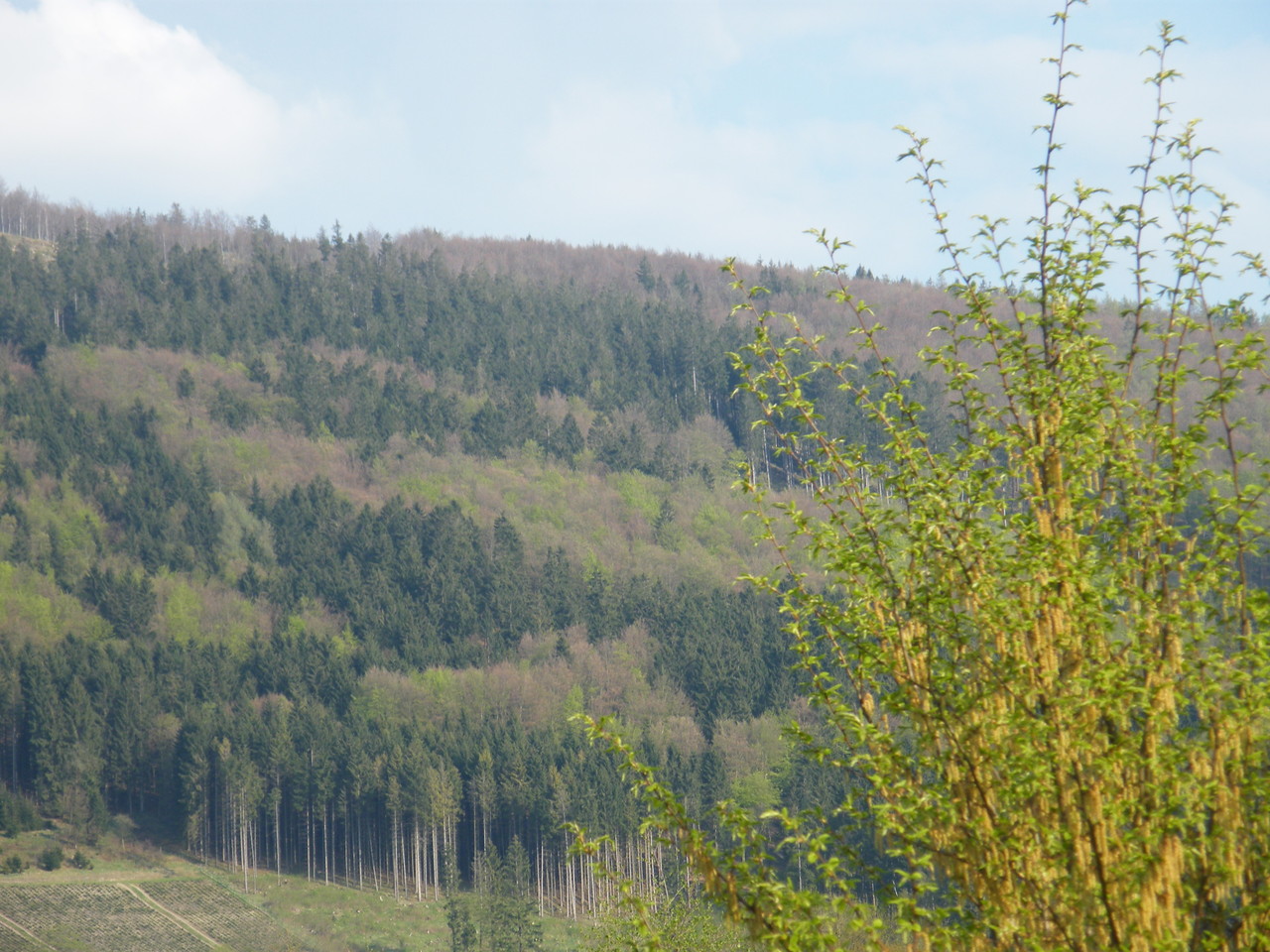 Blick vom Balkon auf den Olsberg