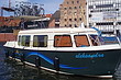 HABER 33 REPORTER, czarter yachtów jachtów, łódz motorowe, pętla żuław