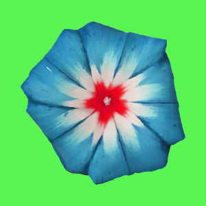 Dieses Bild von Thorsten Hülsberg zeigt eine digital bearbeitete Blüte auf grünem Grund.