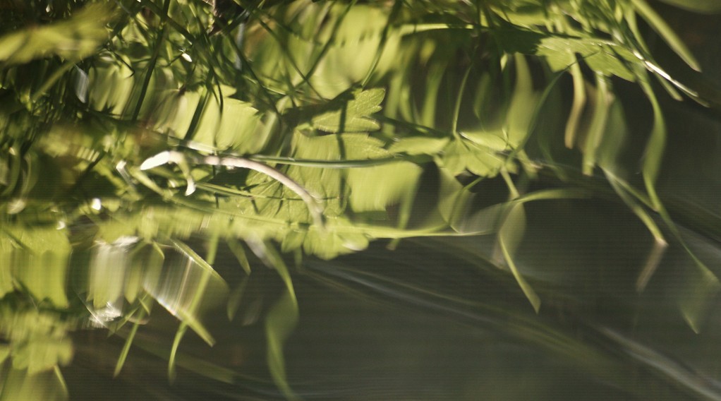 green mirror  ©  erdengoldkunstwerk Nathalie Arun