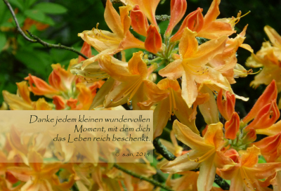 Leinwand, Motiv Rhododendron, 75x50 cm