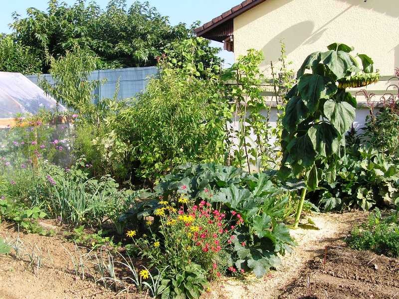 diversité au jardin