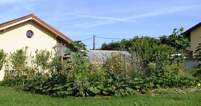 potager agroécologique