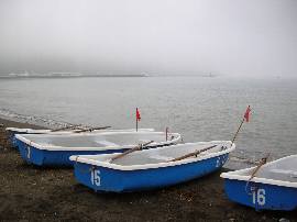 7月5日 土 千葉県冨浦でボート釣り 青島太郎ホーム