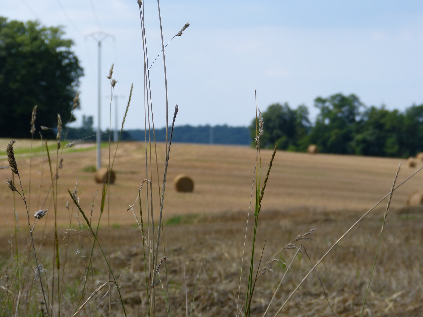 champs après moisson, ballots de paille