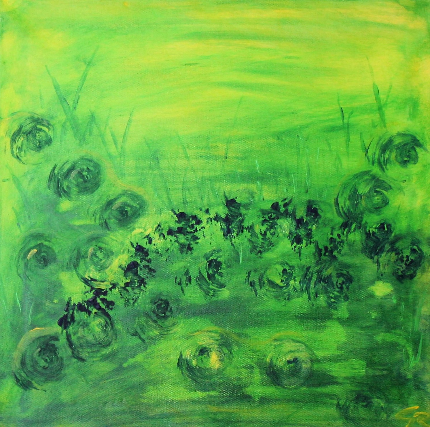 hidden frogs (Geschenk P.T.) (2015)