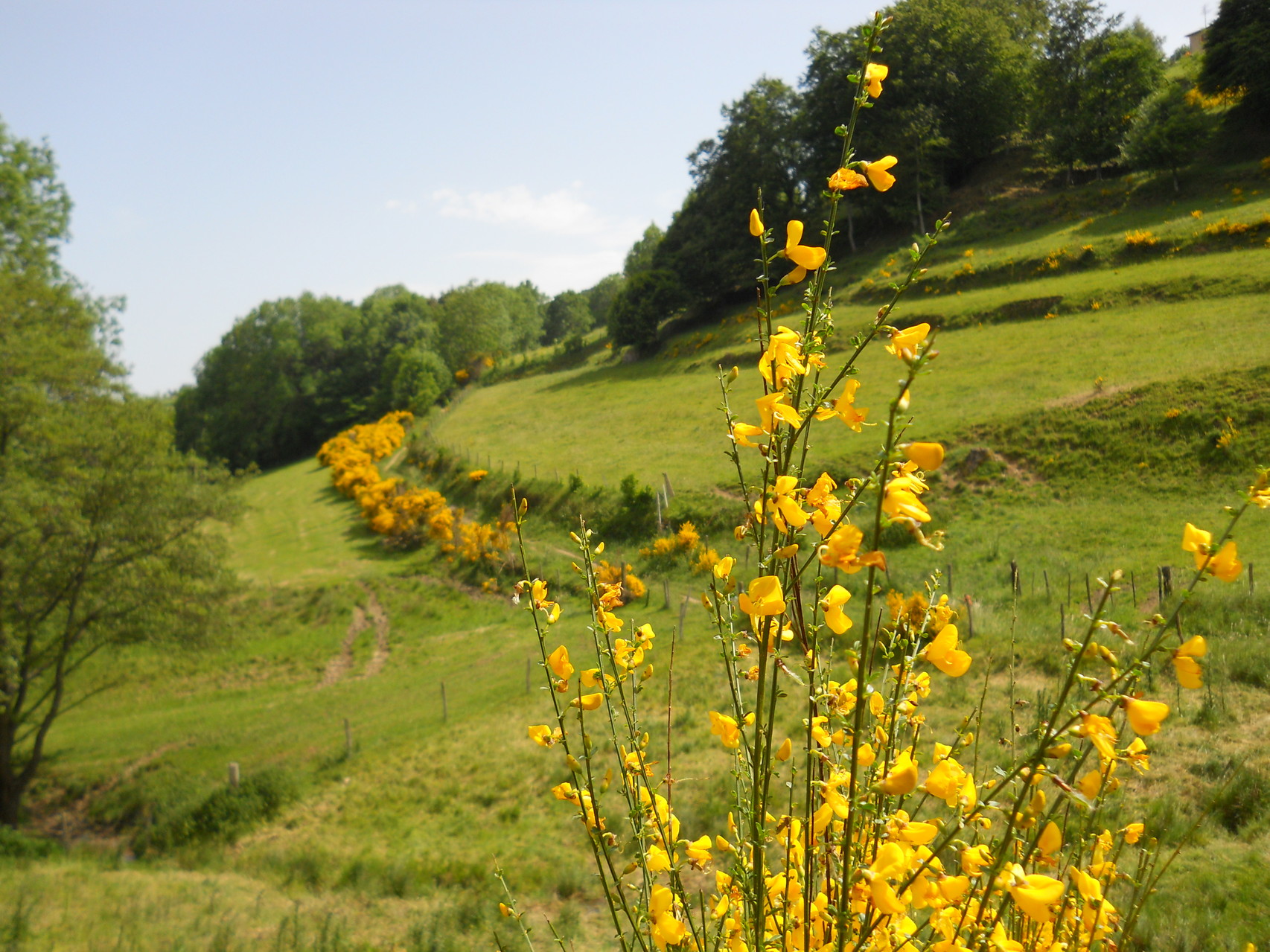  chemin de rando