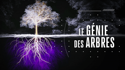 Le génie des arbres ; Emmanuelle Nobécourt. Sauvage Max de Nature