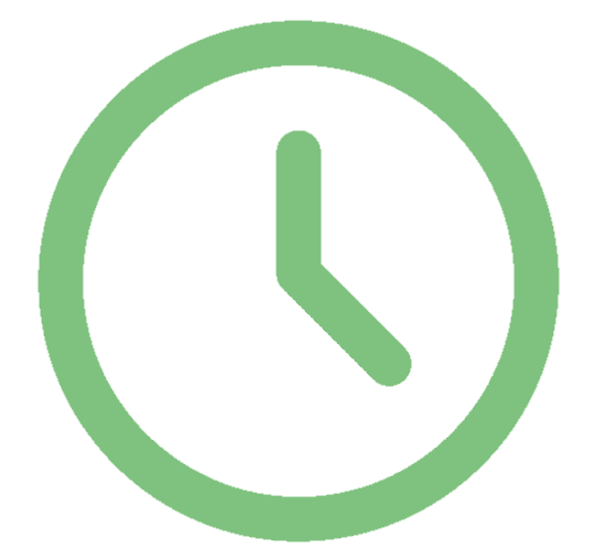Sicherheitskontrolle Icon