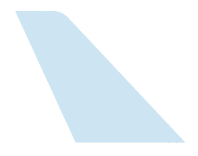 Airlines Icon