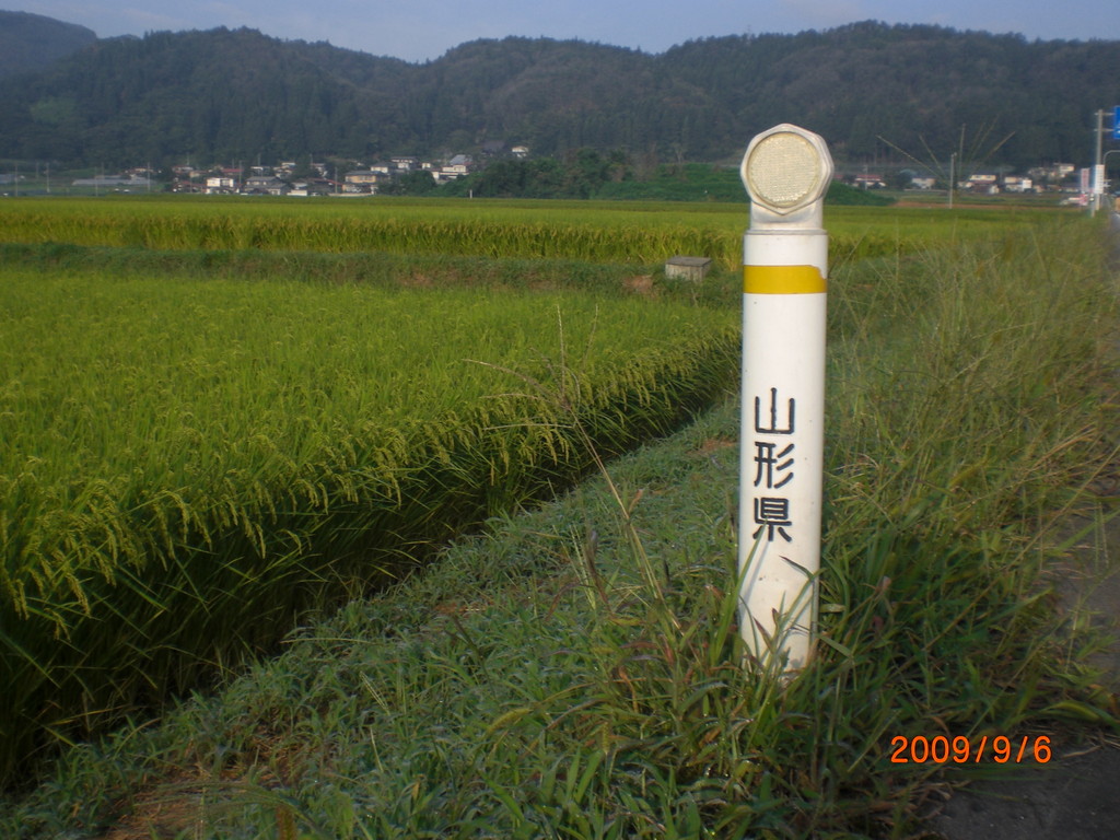 山形県山形市西部の圃場