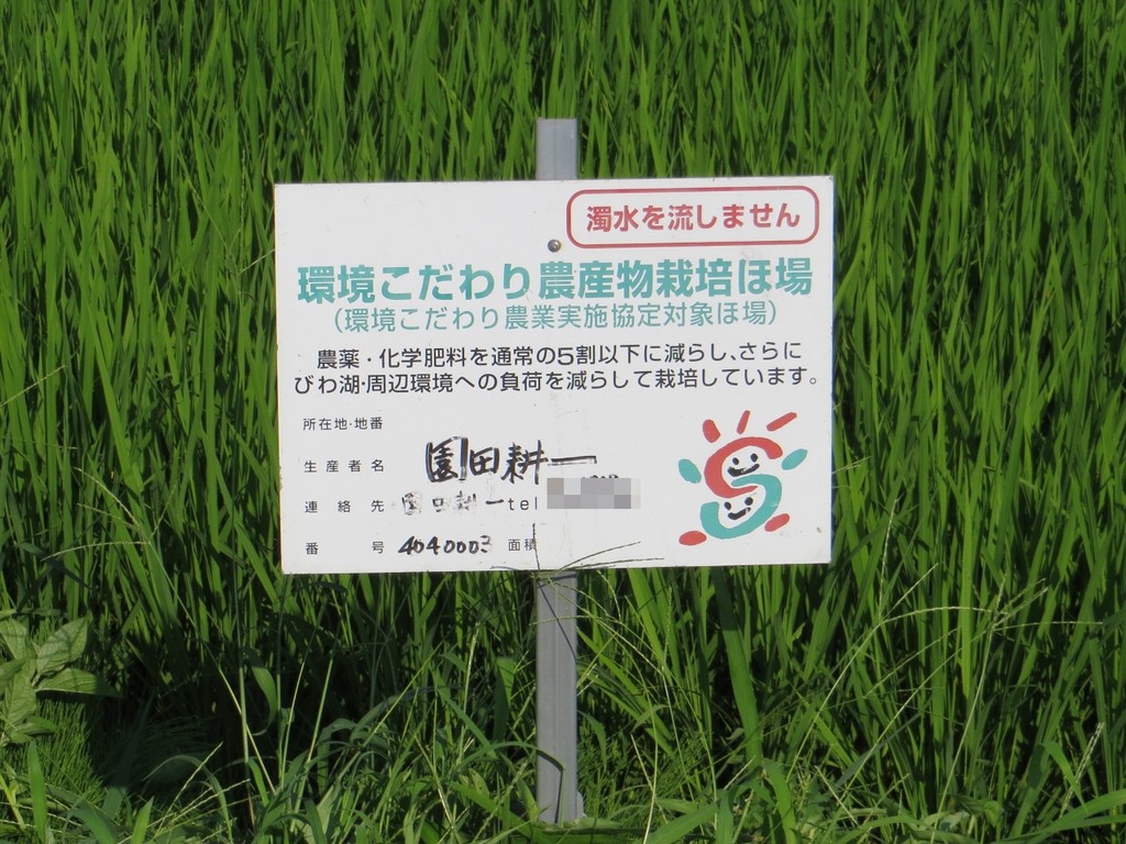 滋賀県の園田耕一さん訪問 えんこう米 滋賀羽二重糯 ライスピア米蔵 滋賀県の園田耕一さん訪問 えんこう米 滋賀羽二重糯 ライスピア米蔵