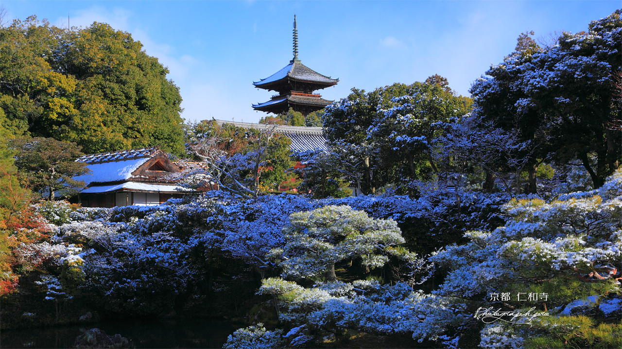 涅槃会 西条市 真言宗十ヶ寺 お釈迦様の命日 ライスピア米蔵