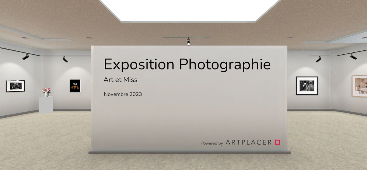 Exposition virtuelle Art et Miss Novembre 2023.