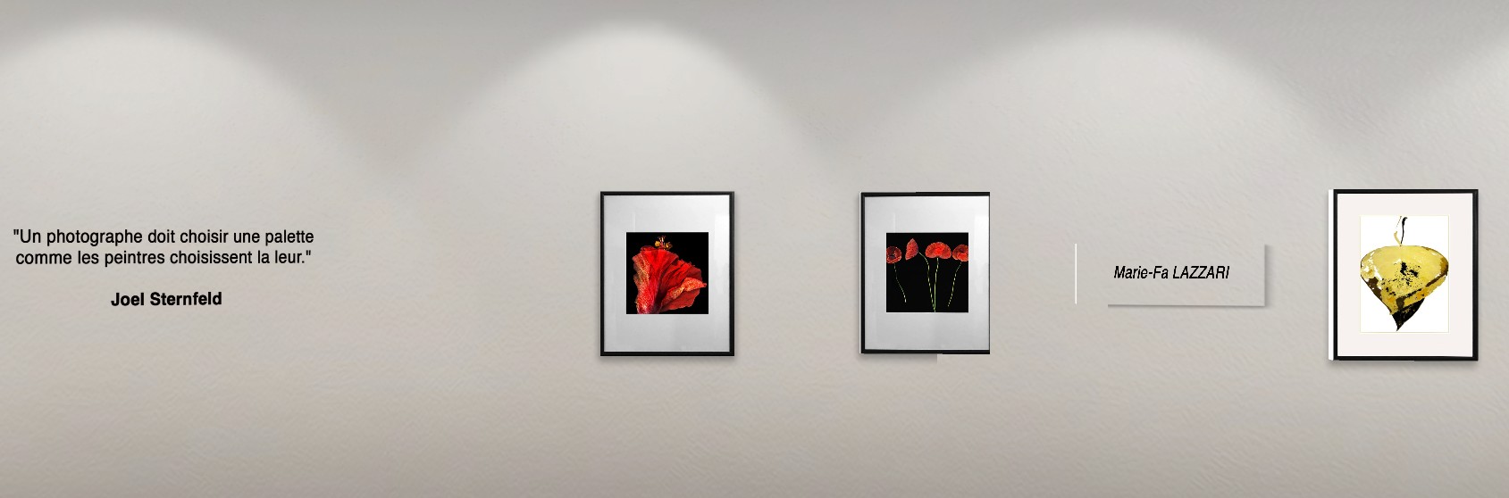 Oeuvres de Marie-Fa Lazzari à l'exposition virtuelle Art et Miss Novembre 2023.