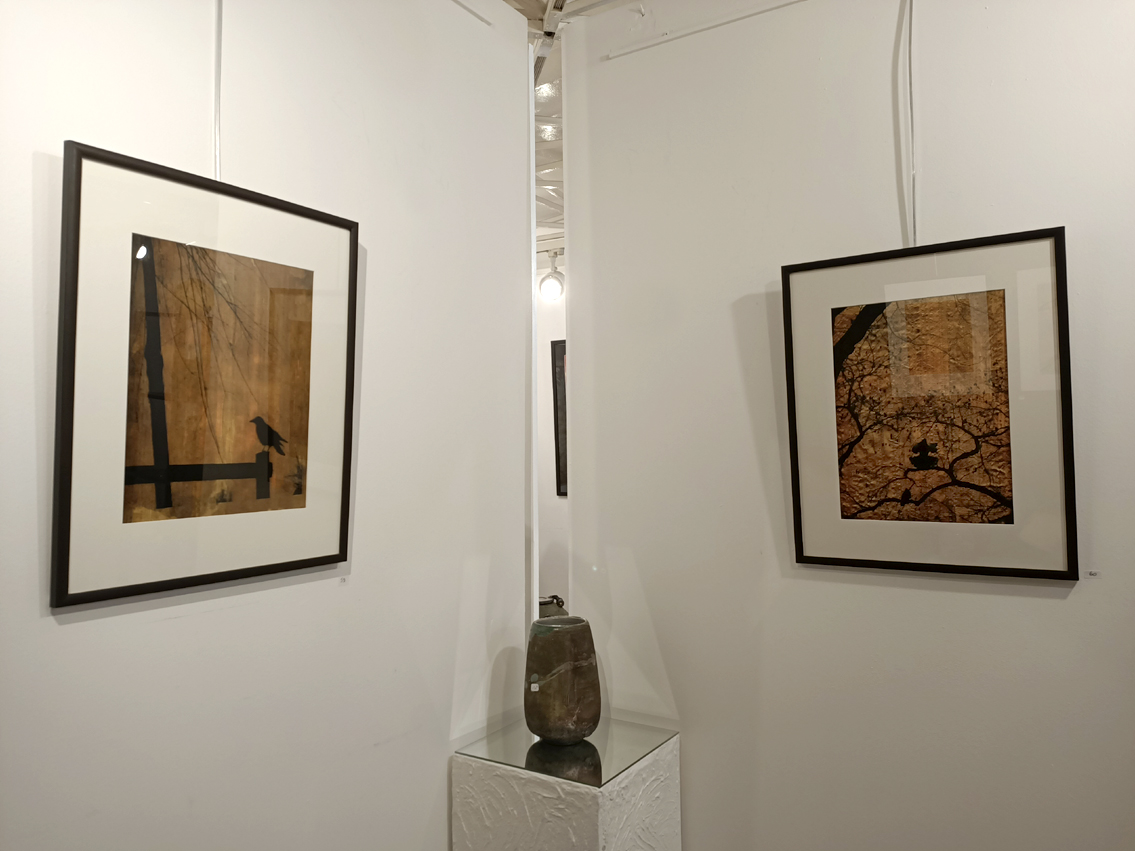 Photographies de Marie-Fa Lazzari à la Galerie Thuillier