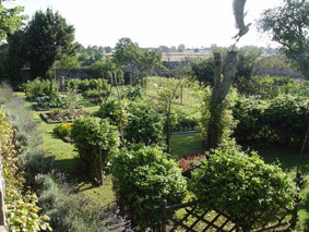 le potager médiéval au chateau-fort de Tennessus