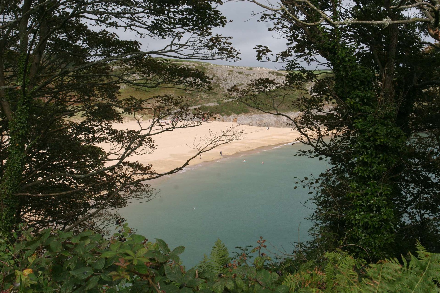 Blick von oben auf den breiten Sandstrand der Barafundle Bay