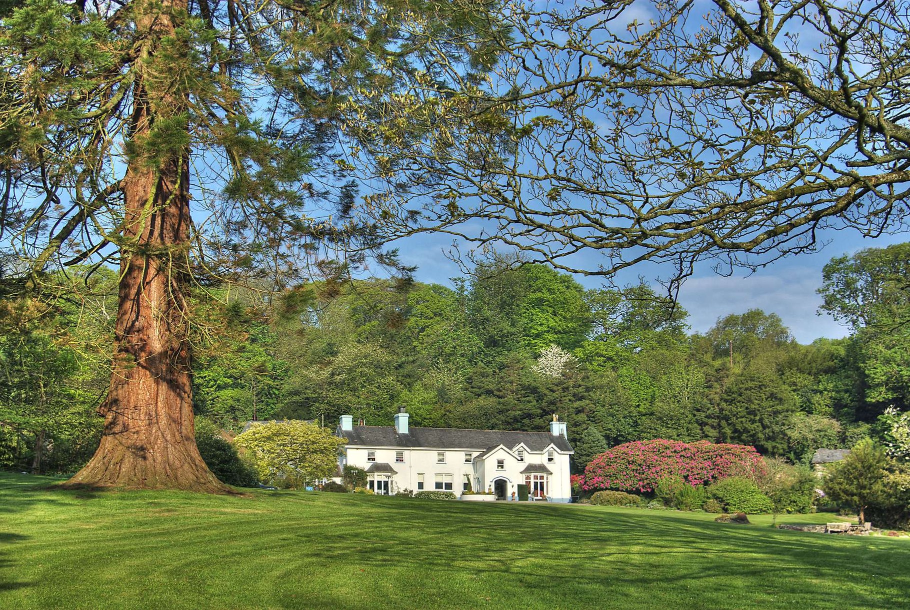 Ynyshir Hall Außenansicht vom Park